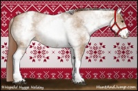 Horse Color:White Spotted Red Dun Rabicano and White Spotted Red Dun Rabicano