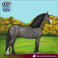 Horse Color:Grullo Sabino Brindle 
