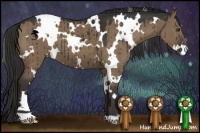 Horse Color:White Spotted Liver Red Dun 