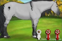 Horse Color:Grullo Chinchilla 