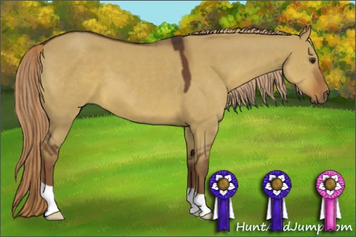 Horse Color:Liver Red Dun 
