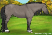 Horse Color:Grullo Brindle 