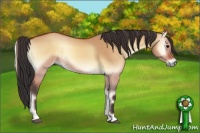 Horse Color:Bay Onyx 