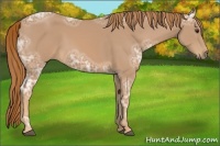 Horse Color:Chestnut Ice 