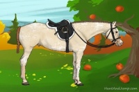 Horse Color:Red Dun Ice Roan