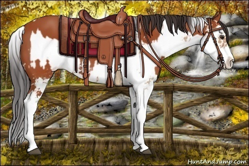 Horse Color:Bay Sabino  and Bay Dun Sabino 