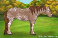 Horse Color:Chestnut Ice 