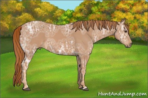 Horse Color:Chestnut Ice 