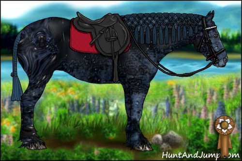 Horse Color:ERROR: UNKNOWN ANOMALY