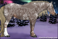 Horse Color:Gray Chestnut Ice