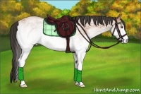 Horse Color:White Spotted Buckskin Roan 