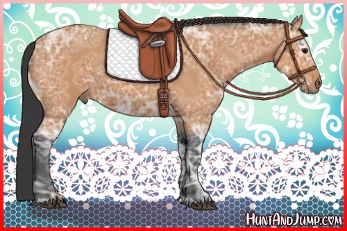 Horse Color:Bay Ice 