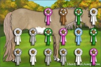 Horse Color:Chocolate Palomino Dun Frame Brindle 