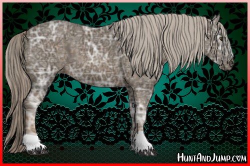 Horse Color:Chocolate Palomino Ice 