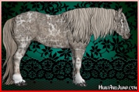 Horse Color:Chocolate Palomino Ice 