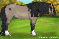 Horse Color:Brown Dun