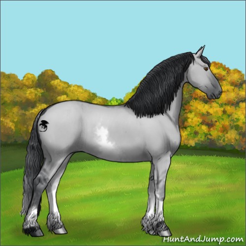 Horse Color:White Spotted Grullo Chinchilla 