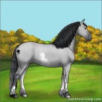 Horse Color:White Spotted Grullo Chinchilla 