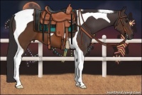 Horse Color:Buckskin Tobiano 