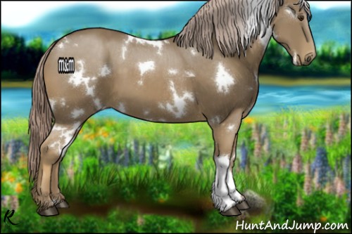 Horse Color:White Spotted Chocolate Palomino