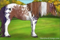 Horse Color:Chestnut Tobiano