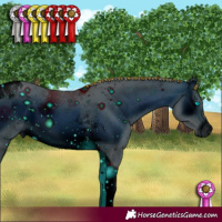 Horse Color:ERROR: UNKNOWN ANOMALY
