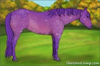 Horse Color:Watercolor Bay 