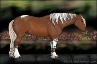 Horse Color:Silver Buckskin Tobiano 