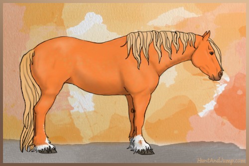 Horse Color:Watercolor Liver Chestnut Sabino