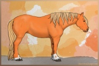 Horse Color:Watercolor Liver Chestnut Sabino