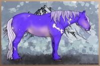 Horse Color:Watercolor White Spotted Silver Brown Chinchilla Sabino 