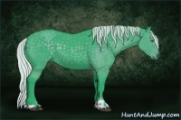 Horse Color:Watercolor Silver Black Chinchilla Sabino 