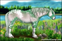 Horse Color:Watercolor White Spotted Silver Brown Onyx 