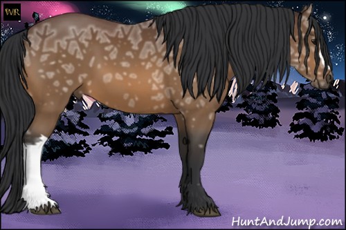 Horse Color:Bay Ice 
