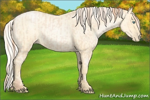 Horse Color:Buckskin Roan Pearl  and Silver Buckskin Roan Pearl 