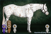 Horse Color:Bay Roan Dun Leopard and Gold Champagne Splash Leopard