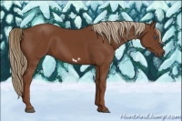 Horse Color:Chestnut Frame 
