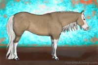Horse Color:Liver Red Dun Splash 