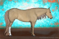Horse Color:Chocolate Palomino Dun