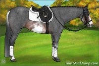 Horse Color:White Spotted Brown Roan Frame 