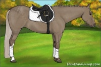 Horse Color:Silver Grullo 