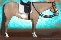 Horse Color:Sable Champagne Roan Frame 