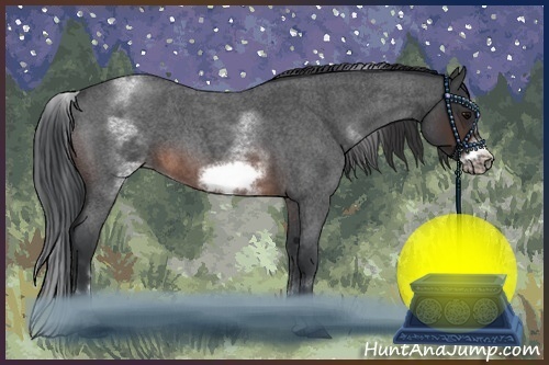 Horse Color:White Spotted Brown Roan Frame