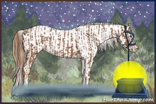 Horse Color:Chestnut Splash Frame and Chestnut Splash Frame Varnish