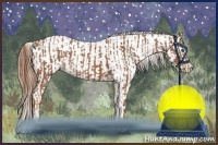 Horse Color:Chestnut Splash Frame and Chestnut Splash Frame Varnish