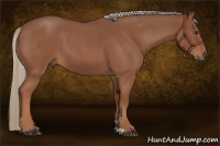Horse Color:Red Roan
