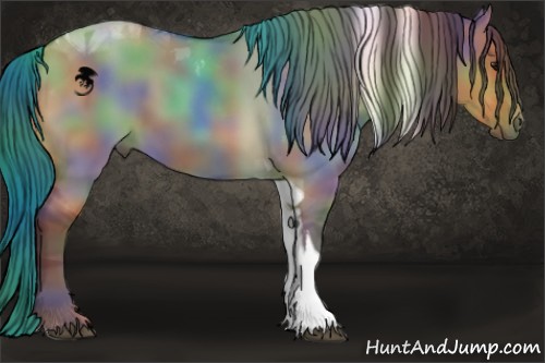 Horse Color:Nacre Bay Dun Tobiano 