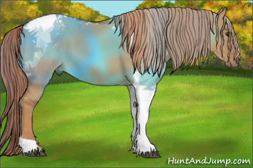 Horse Color:Red Dun Tobiano