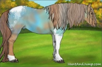 Horse Color:Red Dun Tobiano 