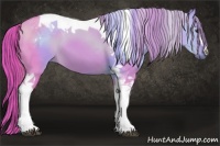 Horse Color:Watercolor Red Dun Tobiano 
